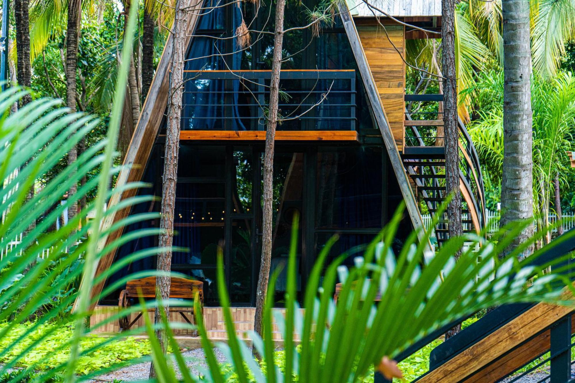Hotel De Cristal & Hacienda De Los Morales San Miguel Eksteriør bilde